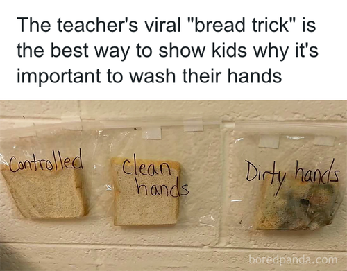 download 2025 10 20T124947.852.png