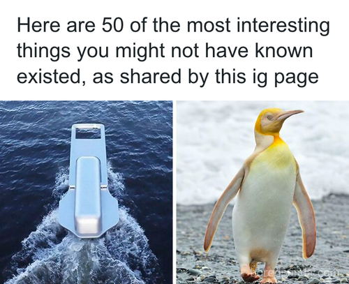 download 2025 10 20T130200.734.png