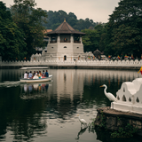 Colombo &amp; Hill Country Explorer image 3 768x1024