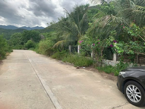 566212068 4292452527642395 8629222219589540410 n.jpg