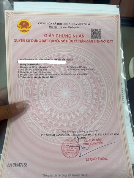 565713445 3351401968358981 2051618936553754582 n.jpg