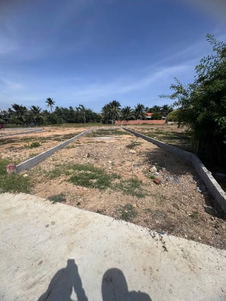 566320239 3351401908358987 6975894281453937832 n.jpg