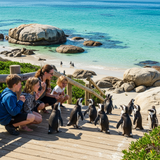 Cape Town Adventure image 5 1152x896