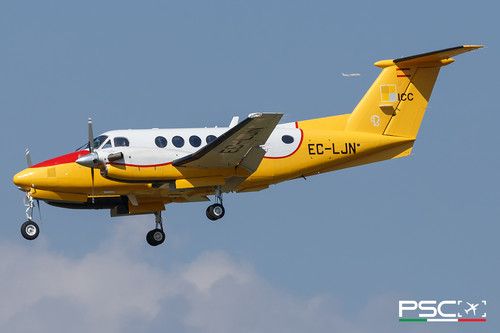 IMG 3203psc.jpg
