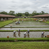 Budget Friendly Palawan Getaway image 2 1024x768