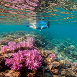 Budget Friendly Palawan Getaway image 3 768x1024