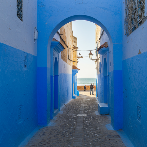 Casablanca & Essaouira: Coastal Charms image 3 768x1024.png