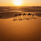 Casablanca to Sahara: A Desert Adventure image 1 1024x1024