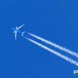 IMG 2738psc