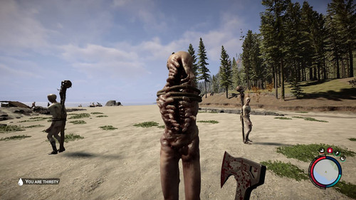sons of the forest 8.jpg