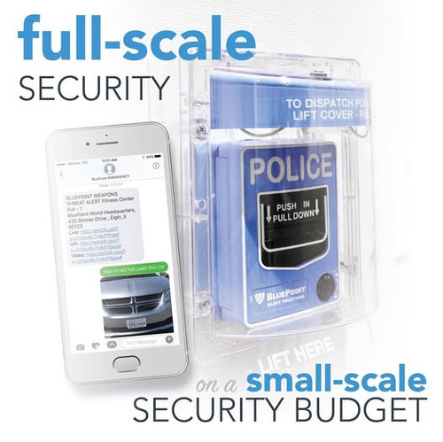 cost-effective security alert system.jpg