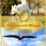 Canines and wings