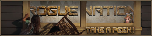 Beau Banner.jpg