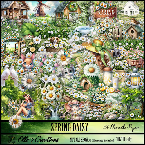 Spring Daisy.png
