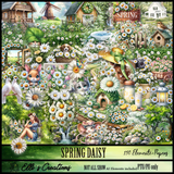Spring Daisy