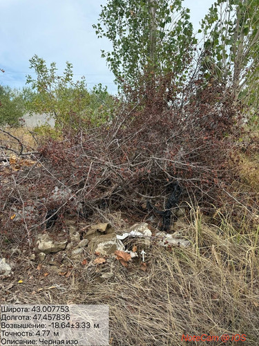 photo 28 2025 09 12 19 18 40.jpg