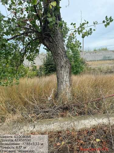 photo 27 2025 09 12 19 18 40.jpg