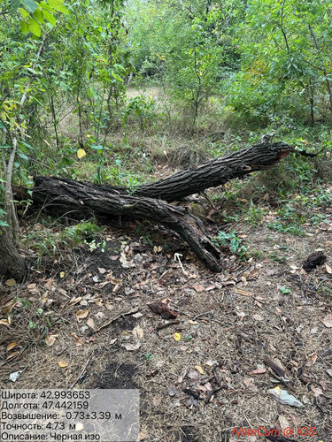 photo 16 2025 09 12 19 18 40.jpg