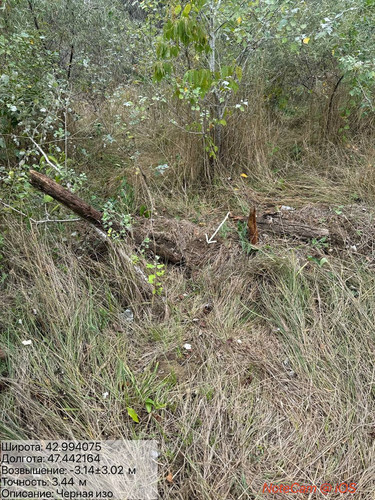 photo 17 2025 09 12 19 18 40.jpg