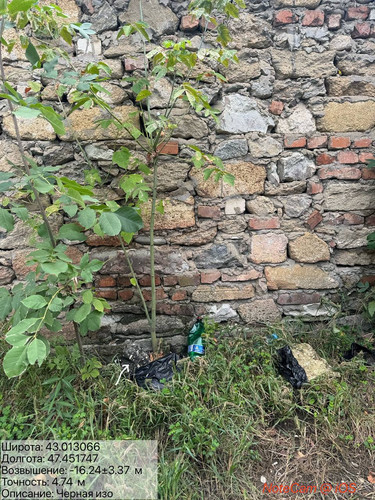 photo 23 2025 09 12 19 18 40.jpg