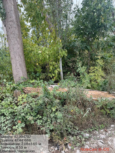 photo 8 2025 09 12 19 18 40.jpg