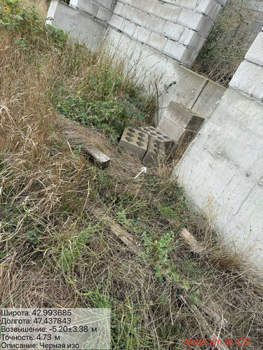 photo 7 2025 09 12 19 18 40.jpg