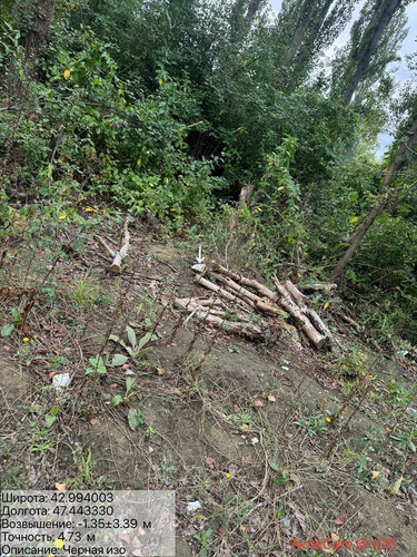 photo 12 2025 09 12 19 18 40.jpg