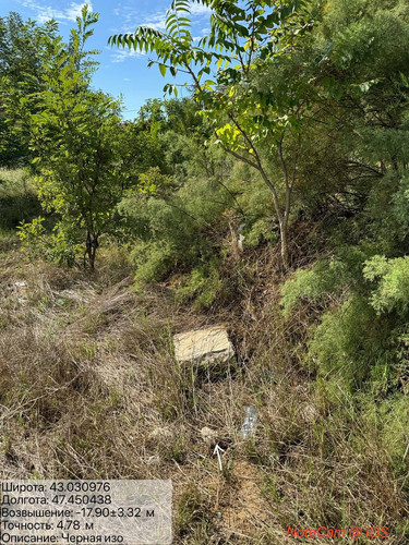 photo 3 2025 09 12 20 00 46.jpg