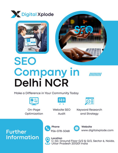 Top SEO Company in Delhi NCR for Higher Google Rankings.jpg