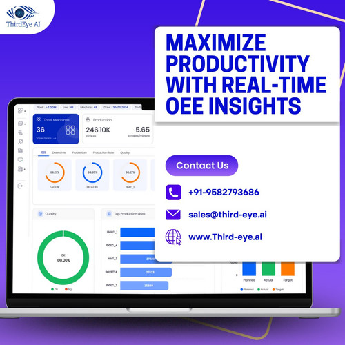 Maximize Productivity with Real-Time OEE Insights.jpg