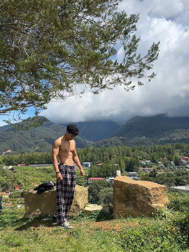 calishniz 1755059574 3698030200941800547 10426361128.jpg