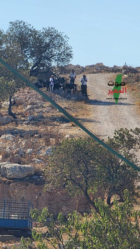 مستوطنون مسلحون يقتحمون منطقة القلع شرق قرية المغير شمال شرق رام الله....