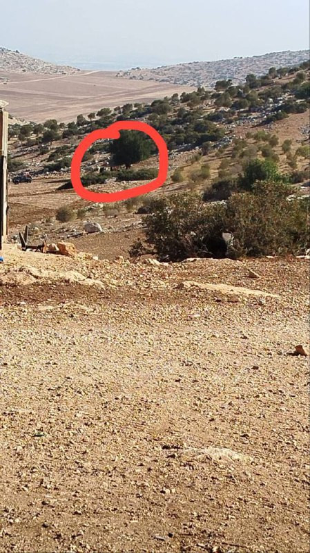 مستوطنون بحماية قوات الاحتلال يهاجمون المزارعين ويعتدون عليهم أثناء عملهم في أرضهم بخربة إبزيق شمال طوباس....