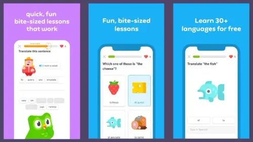 duolingo mod apk download img1.jpg.webp
