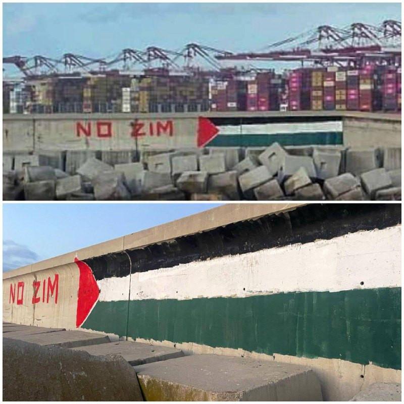 عند وصول سفن شركة الشحن الإسرائيلية "زيم" إلى ميناء برشلونة، ستلاحظ جدارية ضخمة رسمها عمال الميناء، تبرز رسالة واضحة بأن مرتكبي الإبادة الجماعية غير م...