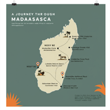 poster prompt2 2048x2560