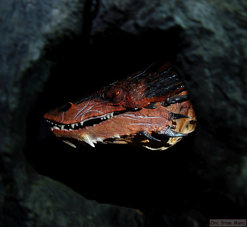 001 Smaug the Terrible repainted.jpg
