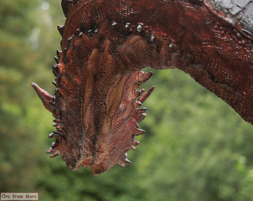 013 smaug0211xj5q.jpg