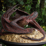 014 smaug0159zkzw