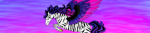rainbow zebra banner.png