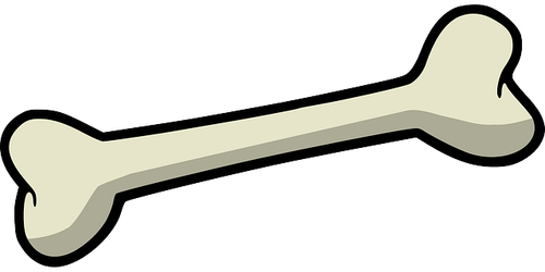 bone.png