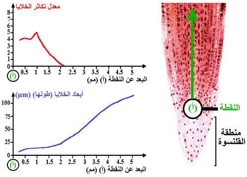 الوثيقة 5.png