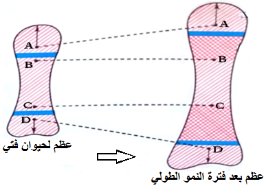 الوثيقة 4.png