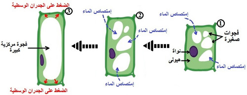 الوثيقة 9.jpg