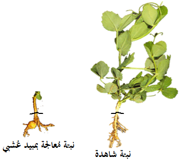 الوثيقة 3.png