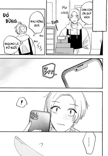 25.png