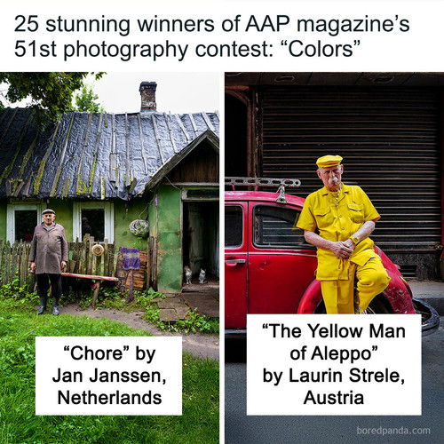 51 photography contest winners colors aap magazine.jpg