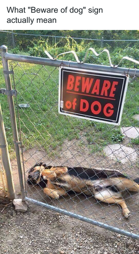 download 2025 10 23T101430.941.png