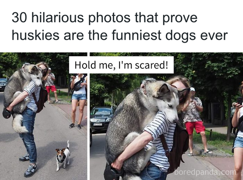 download 2025 10 23T103055.042.png