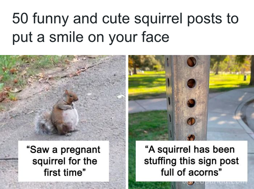 download 2025 10 23T102336.210.png